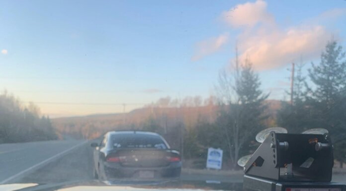 Driver charged for excessive speeding on Highway 19