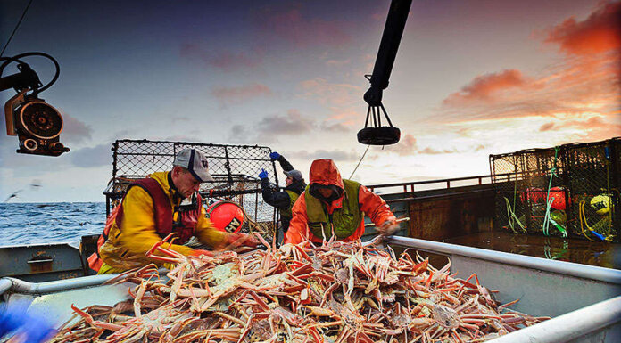 Seafood sector looks to innovation and new markets amid global trade shifts