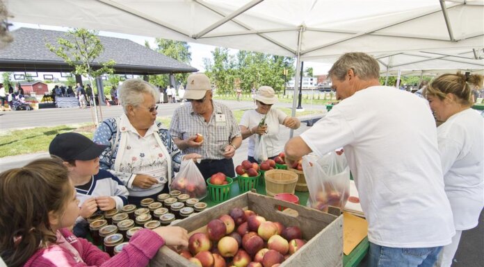 Sherbrooke Saturday Market preparing for its seventh season