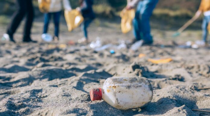 Province reopens funding for shoreline cleanups and debris recycling projects