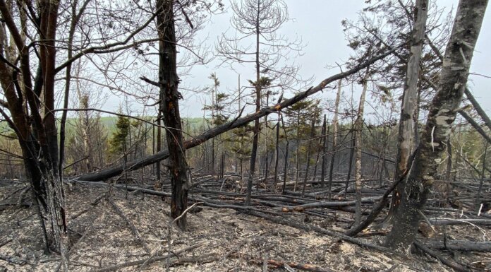 After Framboise wildfire, Richmond councillors extend “special thanks” to emergency personnel