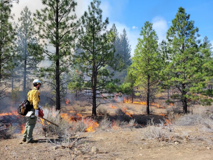 Wildfire Readiness