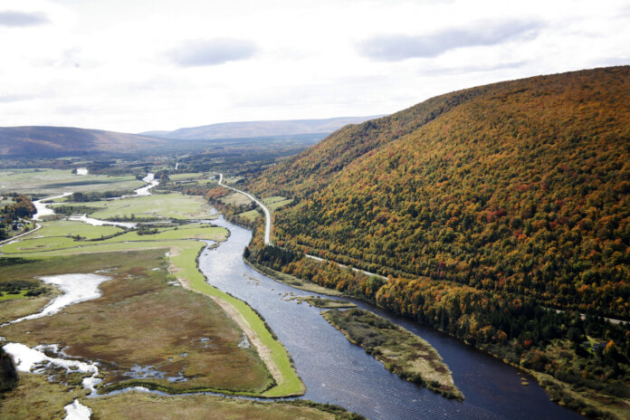 Margaree River