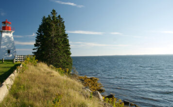 Strait Area parks ready to welcome summer visitors as camping season begins