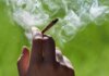 Higher fines, new offences target illegal cannabis sales in Nova Scotia
