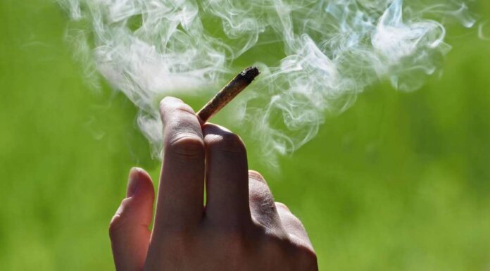 Higher fines, new offences target illegal cannabis sales in Nova Scotia
