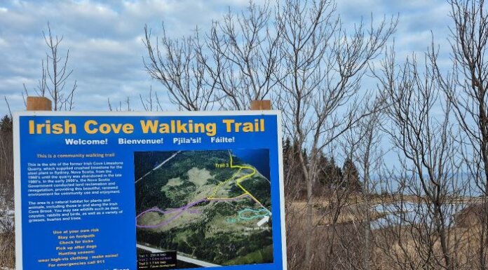 Irish Cove Trail set to open, marking new chapter for reclaimed quarry site