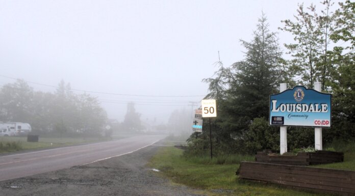 Richmond council addresses speeding concerns in Louisdale