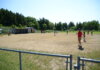 Sting and Blue Jays split U11 doubleheader in Port Hood