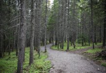 Strait Area Trails receive provincial maintenance funding