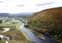 Public consultation opens on proposed protected areas
