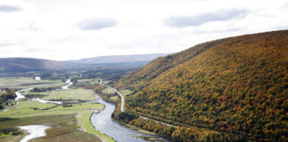 Public consultation opens on proposed protected areas